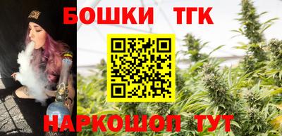 дживик Можга