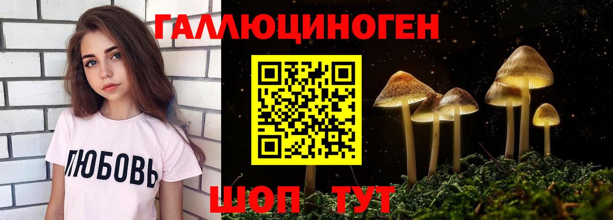 Галлюциногенные грибы Psilocybine cubensis  цена наркотик  Будённовск  Вход с VPN 